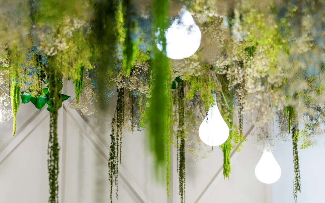 Member Project Highlight: IMPerfect Fresh Eats by Syllable Design